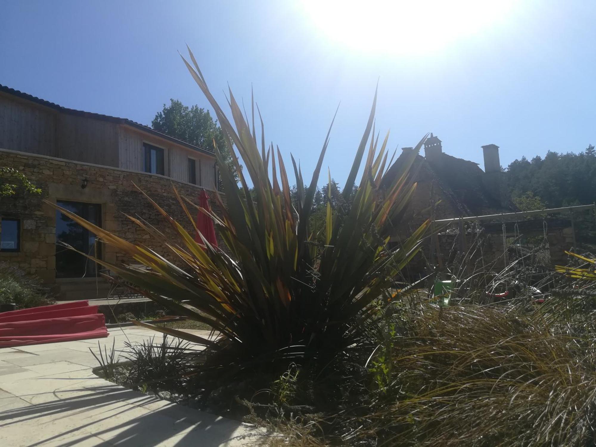 Gite Les Combes Montignac Lascaux Montignac-Lascaux Exterior foto